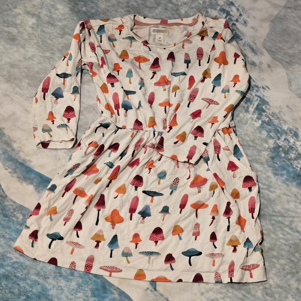 Gymboree Baby Mushroom 2t Dress With Pockets Elastic Waist